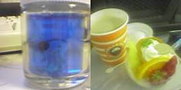 zmemooff2004.jpg 264132 10K